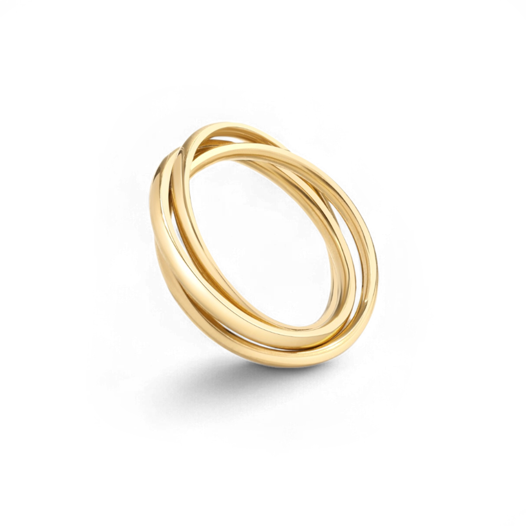Archie's and Son Jewelry and Repairs dainty interlocking fidget ring with spinning band