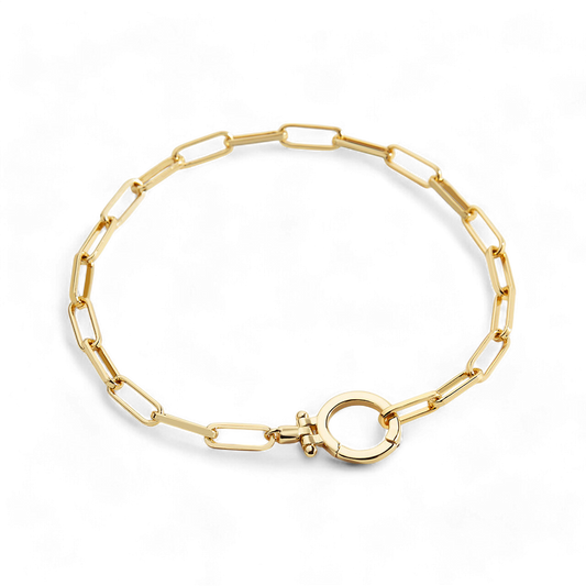 Archie's and Son Jewelry and Repairs Mint Paperclip Chain Bracelet with Hinge Closure